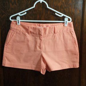 Ann Taylor Loft Shorts - NEW
